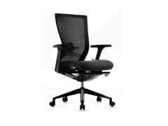 FURSYS T50 Chair LQS B