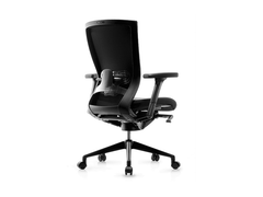 FURSYS T50 Chair LQS B