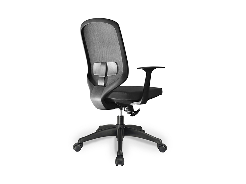 SENA Chair w. arms