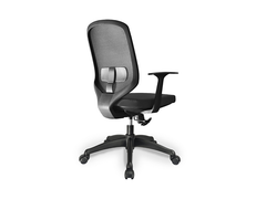 SENA Chair w. arms