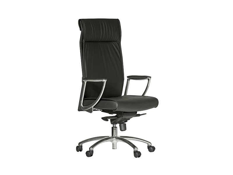 CLINIC Executive Chair high back