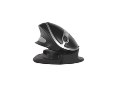OYSTER Mouse Lge Wireless