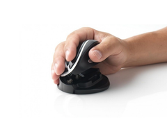 OYSTER Mouse Lge Wireless
