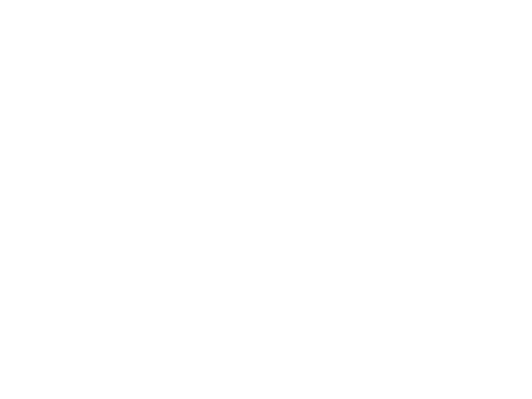 NFLUX Monitor Arm Dual